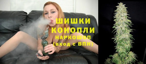 стаф Аркадак