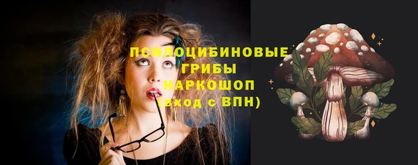 спиды Арсеньев