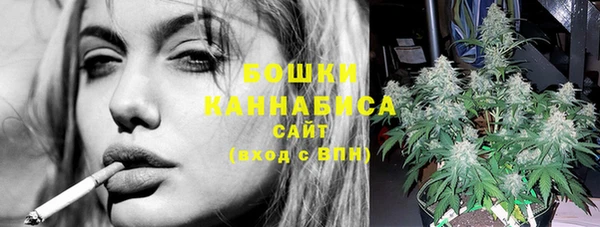 стаф Аркадак