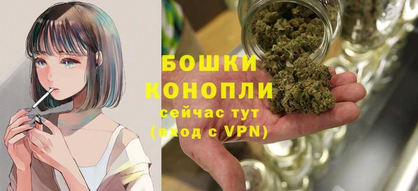 спиды Арсеньев