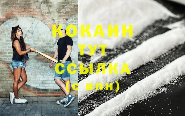 стаф Аркадак